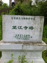 陶洪集