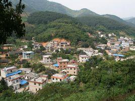 新寨村[雲南玉溪市新平縣水塘鎮下轄村]