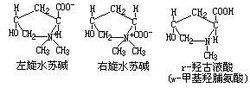 羥脯氨酸