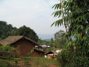 大平寨自然村