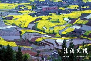 大貴鎮[陝西省安康市平利縣生態產業鎮]