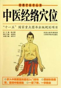 《中醫經絡穴位》