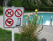 這個游泳池標示牌顯示，不需要穿著衣服入內