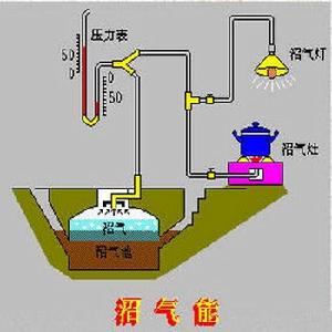 生物氣