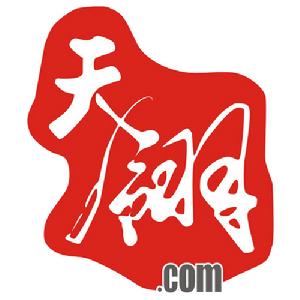 廣州市天翎網路科技有限公司