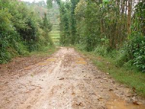 進村道路