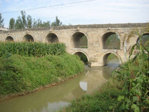 橋上橋