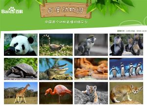 百度動物園