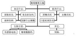 葡糖氧化酶