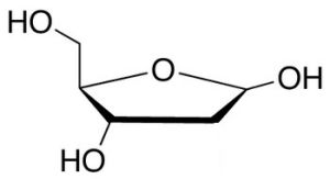 2-脫氧-D-核糖
