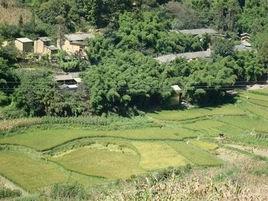 下龍潭村[雲南省昆明市宜良縣耿家營鄉下龍潭村]