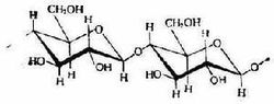 纖維素的結構
