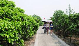 花香果居旅遊景區