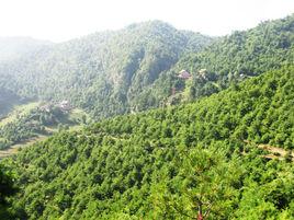 石洞山[天水市清水縣石洞山]