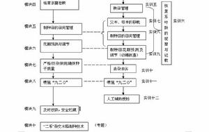 雜交水稻