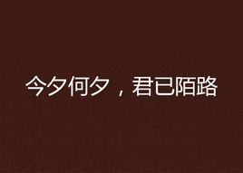 今夕何夕，君已陌路