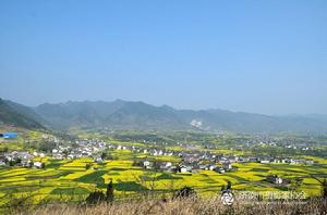 漢中油菜花海之新集鎮