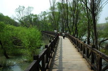 鐵山寺國家森林公園