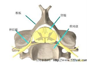 頸椎疾病