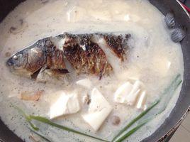 魚湯豆腐湯