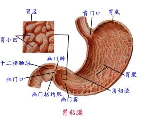 良性腫瘤