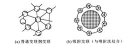 酶的交聯法固定化技術