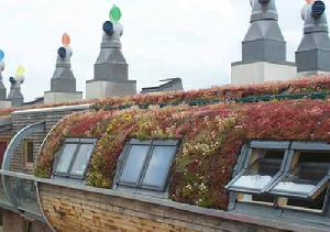 住宅的屋頂種上了草皮，可以增加美觀程度，和起到為房子保溫的作用