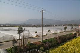 鳳凰村[湖北省雲夢縣吳鋪鎮下轄]