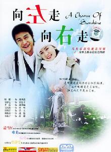 向左走，向右走[2005年陸毅、賈靜雯主演電視劇]