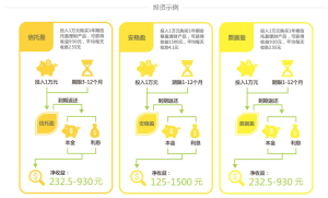 金麥子投資示例