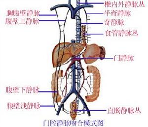 腹膜後感染與膿腫