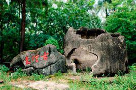 煙臺山[福建福州市倉山區煙臺山歷史風貌區]