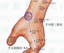 鼻煙窩即陽溪穴