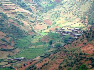 盧家村自然村 盧家村自然村