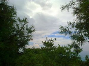 閬中盤龍山國家森林公園