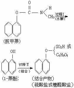 法拉第效應