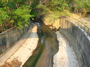 （圖）佐敦谷水塘後的導流渠