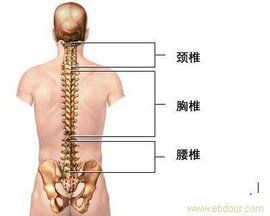 馬尾神經綜合症