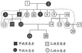 遺傳譜系圖