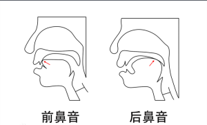 前後鼻音