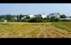 湖西村[江西省九江市彭澤縣馬當鎮下轄村]