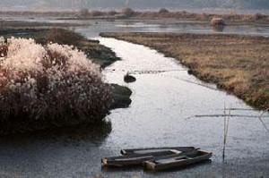 牛浦生態公園 