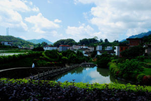 黃花村景照