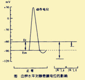 超極化阻滯