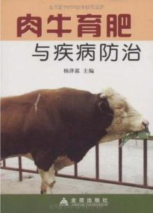 肉牛育肥與疾病防治