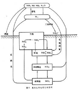 生物地球化學循環