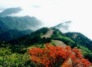 浙江烏岩嶺國家級自然保護區