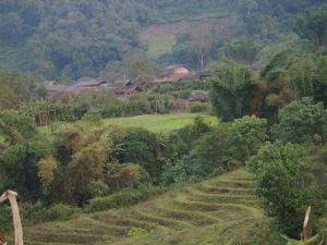 茨菇塘村