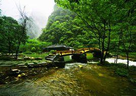 神龍峽[重慶南川區南平鎮神龍峽]