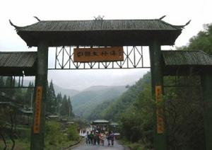 石龍村